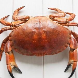 Crab (Whole)